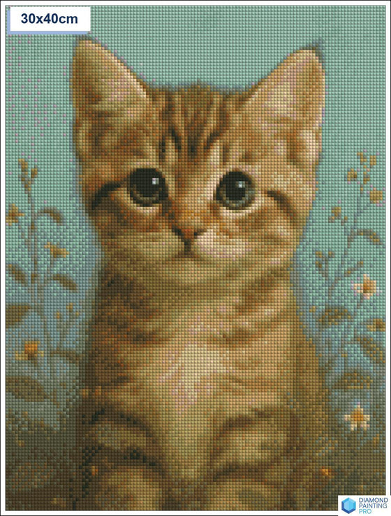 Diamond painting Schattige kat grote ogen vierkante stenen 30x40cm - Nederland