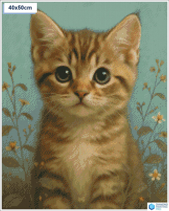 Diamond painting Schattige kat grote ogen vierkante stenen 40x50cm - Nederland