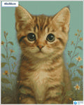 Diamond painting Schattige kat grote ogen vierkante stenen 40x50cm - Nederland