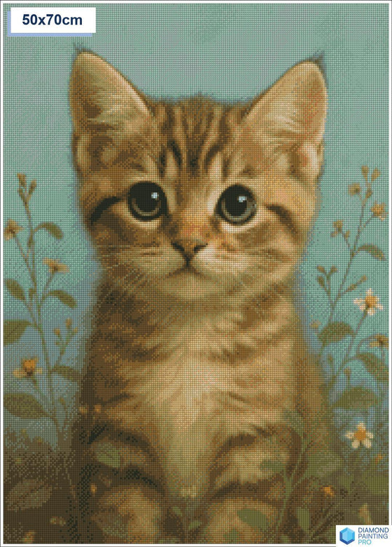 Diamond painting Schattige kat grote ogen vierkante stenen 50x70cm - Nederland