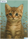 Diamond painting Schattige kat grote ogen vierkante stenen 50x70cm - Nederland