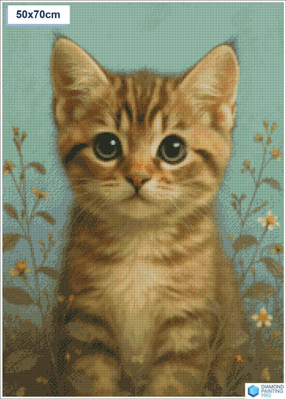 Diamond painting Schattige kat grote ogen vierkante stenen 50x70cm - Nederland