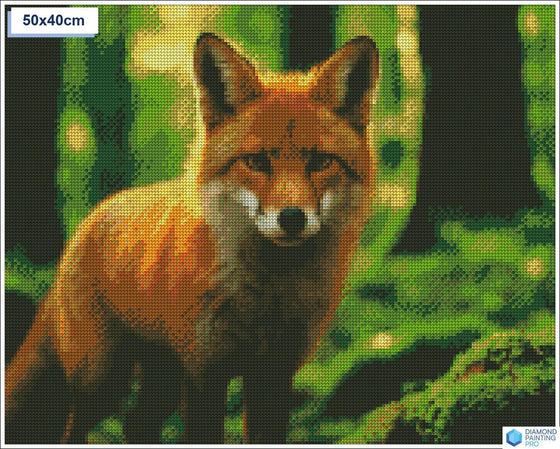 Diamond painting sluwe vos bos vierkante stenen 40x50cm - kind