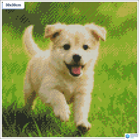 Diamond painting speelse puppy gras vierkante stenen 30x30cm - 5D diamant kit