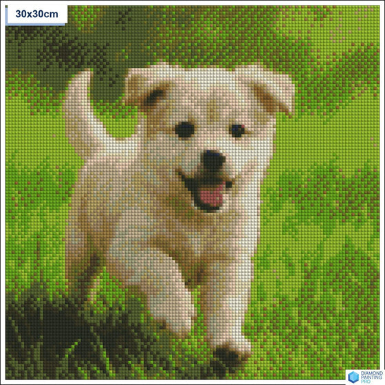 Diamond painting speelse puppy gras vierkante stenen 30x30cm - 5D diamant kit