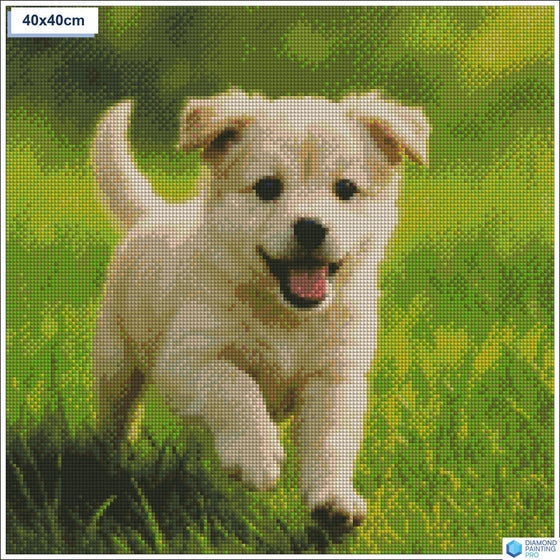 Diamond painting speelse puppy gras vierkante stenen 40x40cm - 5D diamant kit