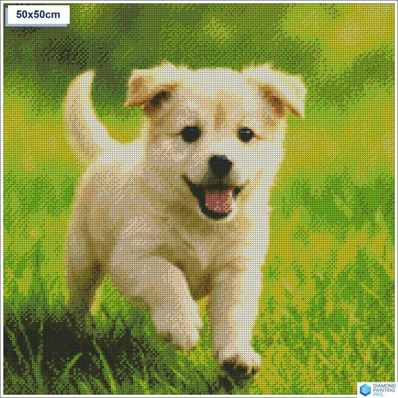 Diamond painting speelse puppy gras vierkante stenen 50x50cm - 5D diamant kit
