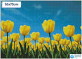 Diamond painting veld gele tulpen 30x30cm vierkante steentjes - diamond painting action