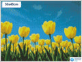 Diamond painting veld gele tulpen 40x40cm ronde steentjes - diamond painting action