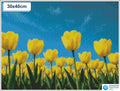 Diamond painting veld gele tulpen 40x40cm vierkante steentjes - diamond painting action