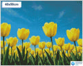 Diamond painting veld gele tulpen 50x50cm ronde steentjes - diamond painting action
