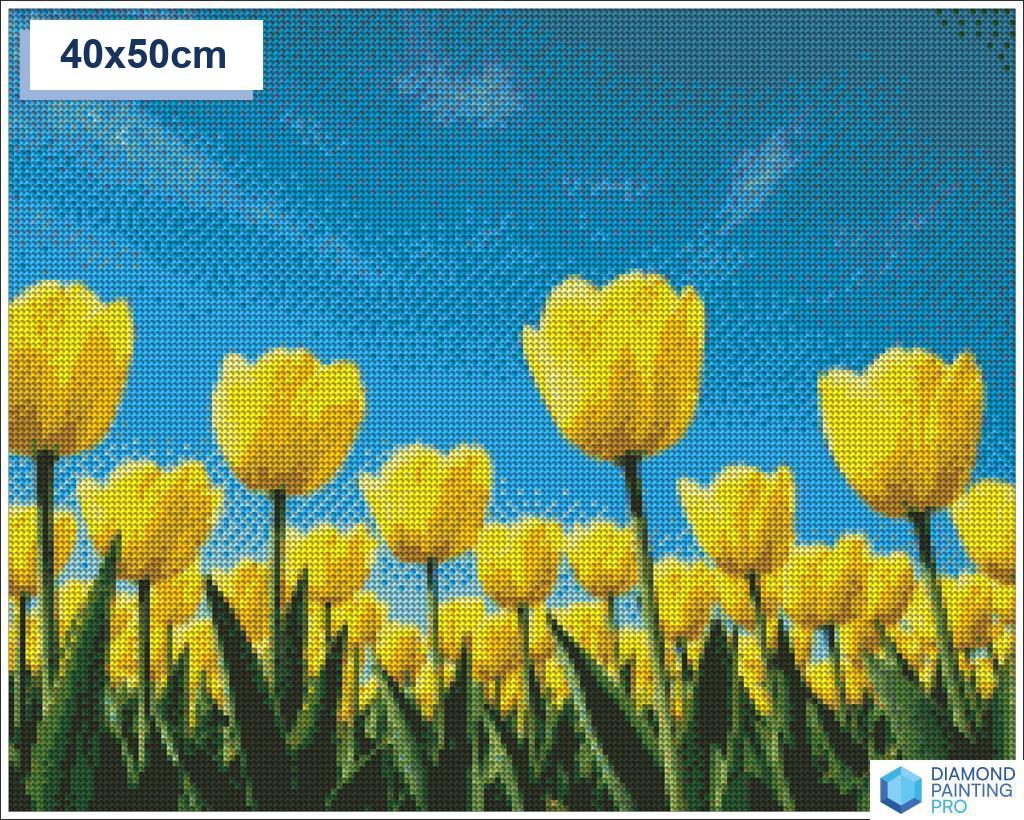 Diamond painting veld gele tulpen 50x50cm ronde steentjes - diamond painting action