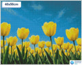 Diamond painting veld gele tulpen 50x50cm vierkante steentjes - diamond painting action