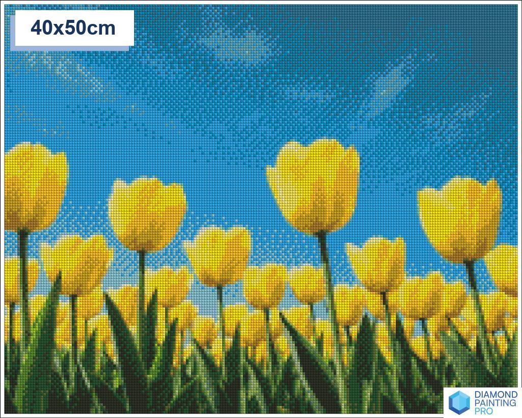 Diamond painting veld gele tulpen 50x50cm vierkante steentjes - diamond painting action