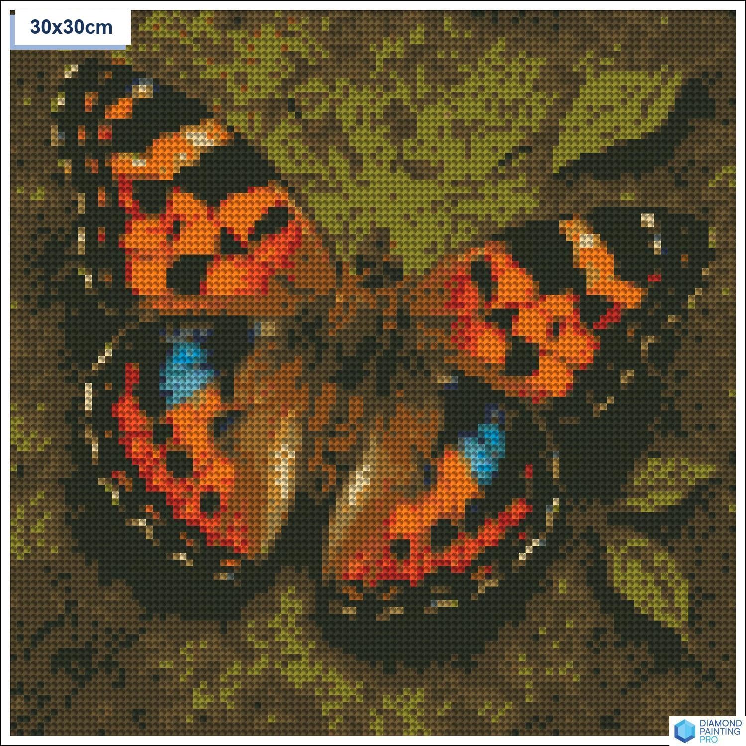 Diamond painting vlinder close up vierkante stenen 30x30cm - 5D diamant kit