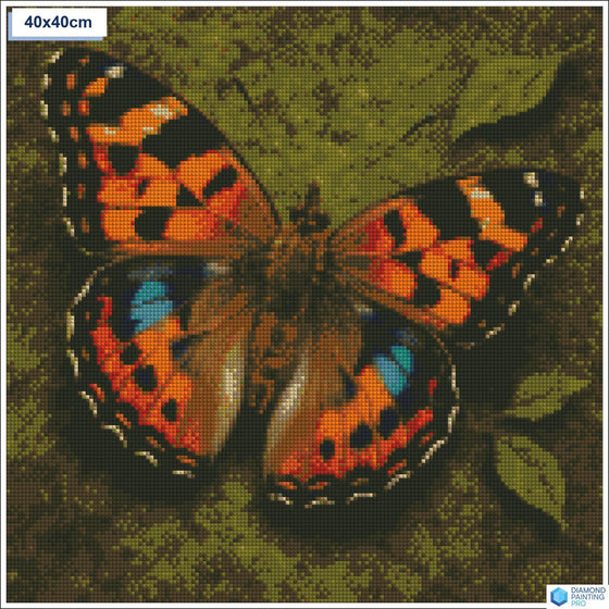 Diamond painting vlinder close up vierkante stenen 40x40cm - 5D diamant kit