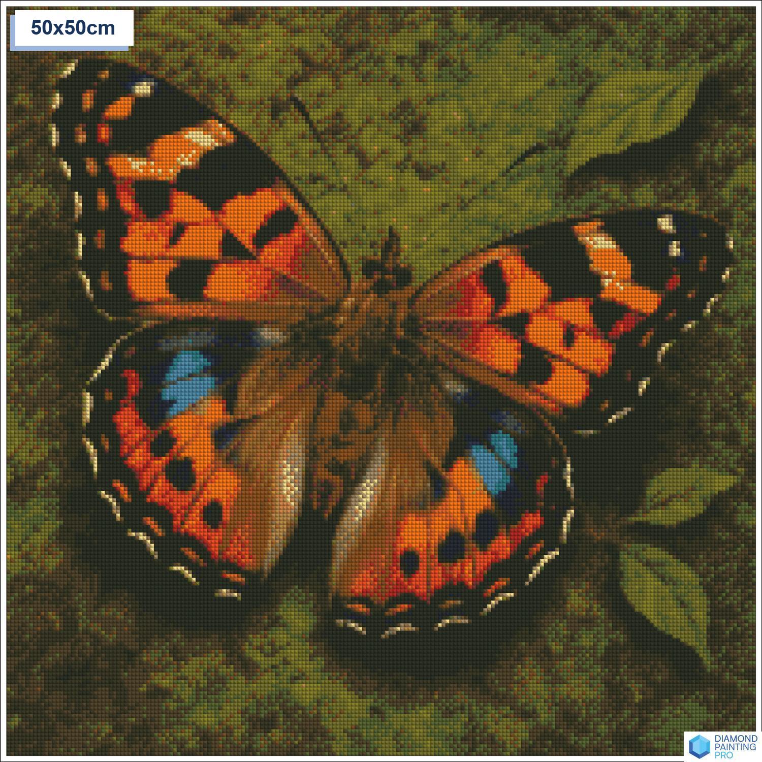 Diamond painting vlinder close up vierkante stenen 50x50cm - 5D diamant kit