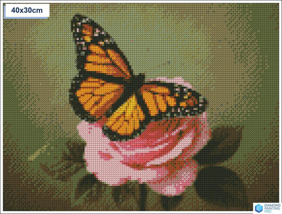 Diamond painting vlinder roze roos ronde stenen 30×40 cm - Kruidvat