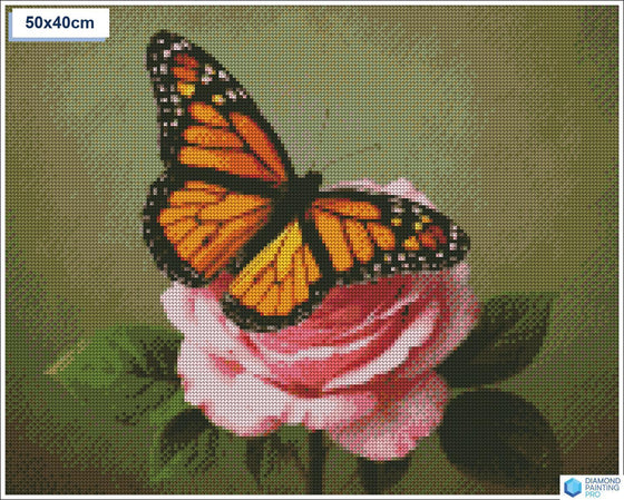 Diamond painting vlinder roze roos ronde stenen 40×50 cm - Kruidvat