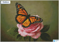 Diamond painting vlinder roze roos ronde stenen 50×70 cm - Kruidvat