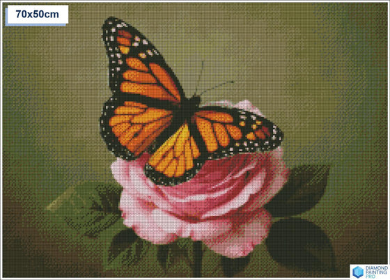 Diamond painting vlinder roze roos ronde stenen 50×70 cm - Kruidvat