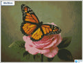 Diamond painting vlinder roze roos vierkante stenen 30×40 cm - Kruidvat