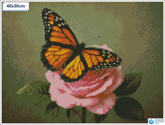 Diamond painting vlinder roze roos vierkante stenen 30×40 cm - Kruidvat