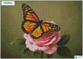Diamond painting vlinder roze roos vierkante stenen 50×70 cm - Kruidvat