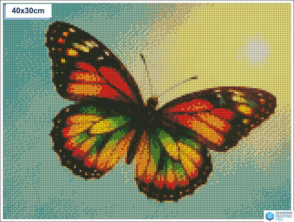 Diamond painting vlinder zon vierkante stenen 30x40cm - kruidvat