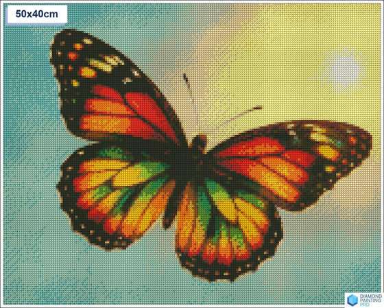 Diamond painting vlinder zon vierkante stenen 40x50cm - kruidvat
