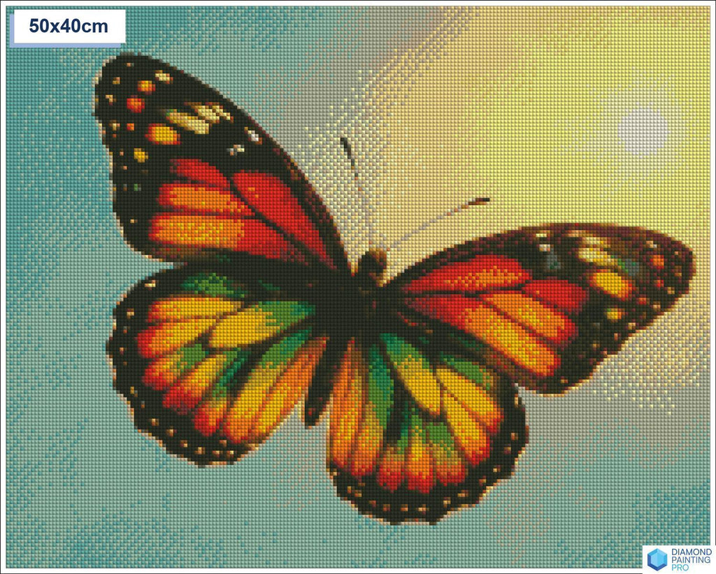 Diamond painting vlinder zon vierkante stenen 40x50cm - kruidvat