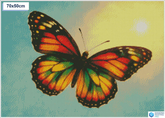 Diamond painting vlinder zon vierkante stenen 50x70cm - kruidvat
