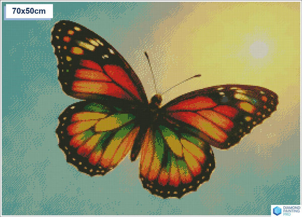 Diamond painting vlinder zon vierkante stenen 50x70cm - kruidvat
