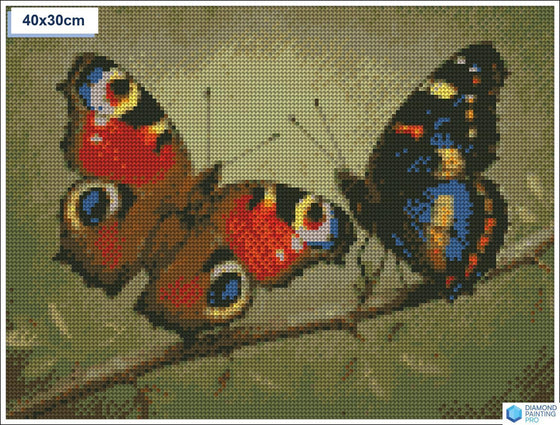 Diamond painting vlinders op tak ronde stenen 30×40 cm - Hema