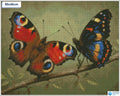 Diamond painting vlinders op tak ronde stenen 40×50 cm - Hema