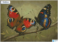 Diamond painting vlinders op tak ronde stenen 50×70 cm - Hema