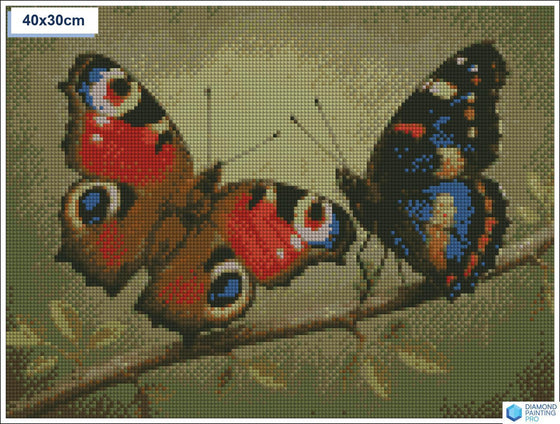 Diamond painting vlinders op tak vierkante stenen 30×40 cm - Hema