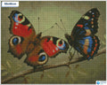 Diamond painting vlinders op tak vierkante stenen 40×50 cm - Hema