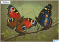 Diamond painting vlinders op tak vierkante stenen 50×70 cm - Hema