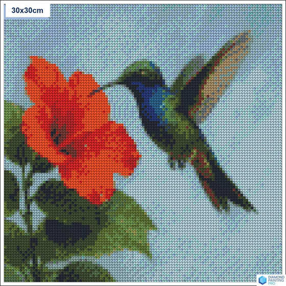 Diamond painting zwevende kolibrie bloem vierkante stenen 30x30cm - stitch
