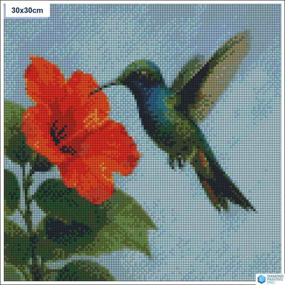 Diamond painting zwevende kolibrie bloem vierkante stenen 30x30cm - stitch