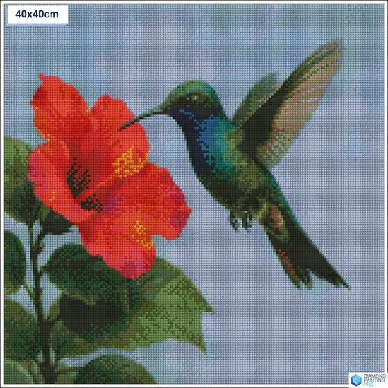 Diamond painting zwevende kolibrie bloem vierkante stenen 40x40cm - stitch
