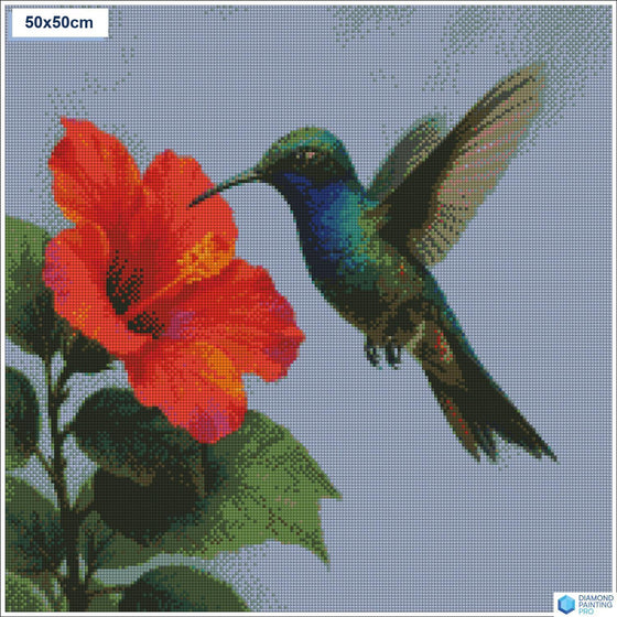 Diamond painting zwevende kolibrie bloem vierkante stenen 50x50cm - stitch