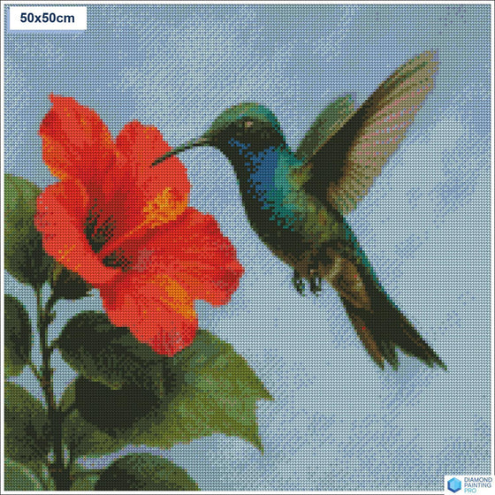 Diamond painting zwevende kolibrie bloem vierkante stenen 50x50cm - stitch