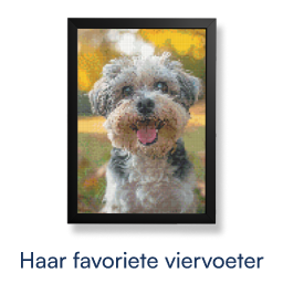 eigen foto diamond painting hond