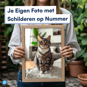 Eigen foto schilderen op nummer
