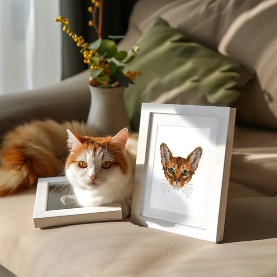 Katten Mini Diamond Painting set (4 stuks) - Diamond Painting Pro