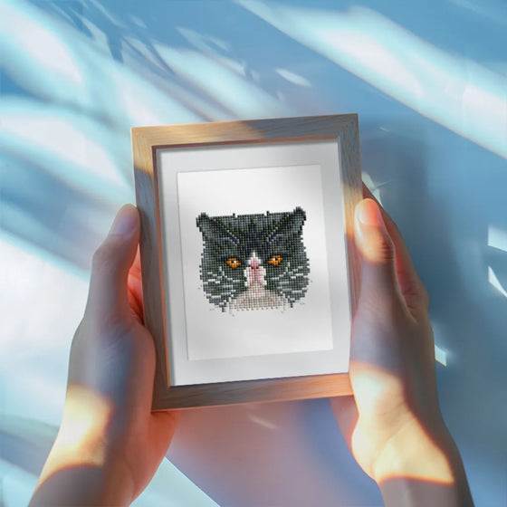 Katten Mini Diamond Painting set (4 stuks) - Diamond Painting Pro
