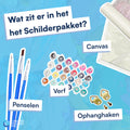 Wat zit er in het schilderpakket?