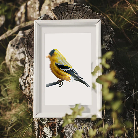 Vogels Mini Diamond Painting set (12 stuks) - Diamond Painting Pro